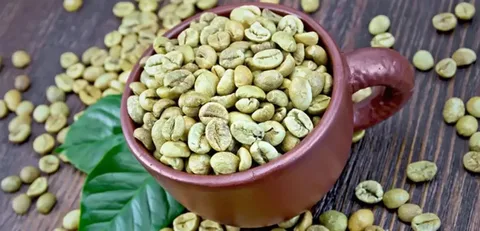 أضرار جرين كوفي: كل ما يجب معرفته 1 أضرار جرين كوفي